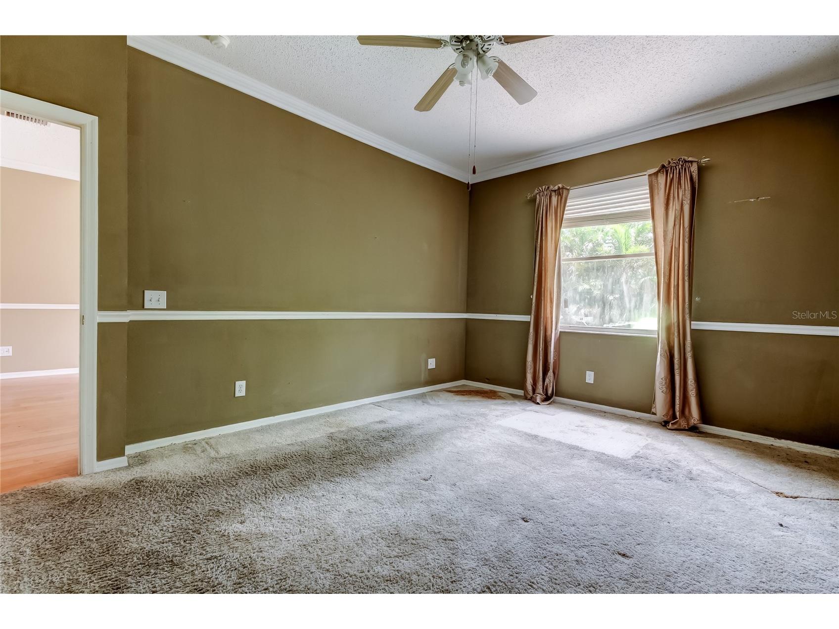 10708 Northridge Court Trinity FL 34655 TB8416262 image16