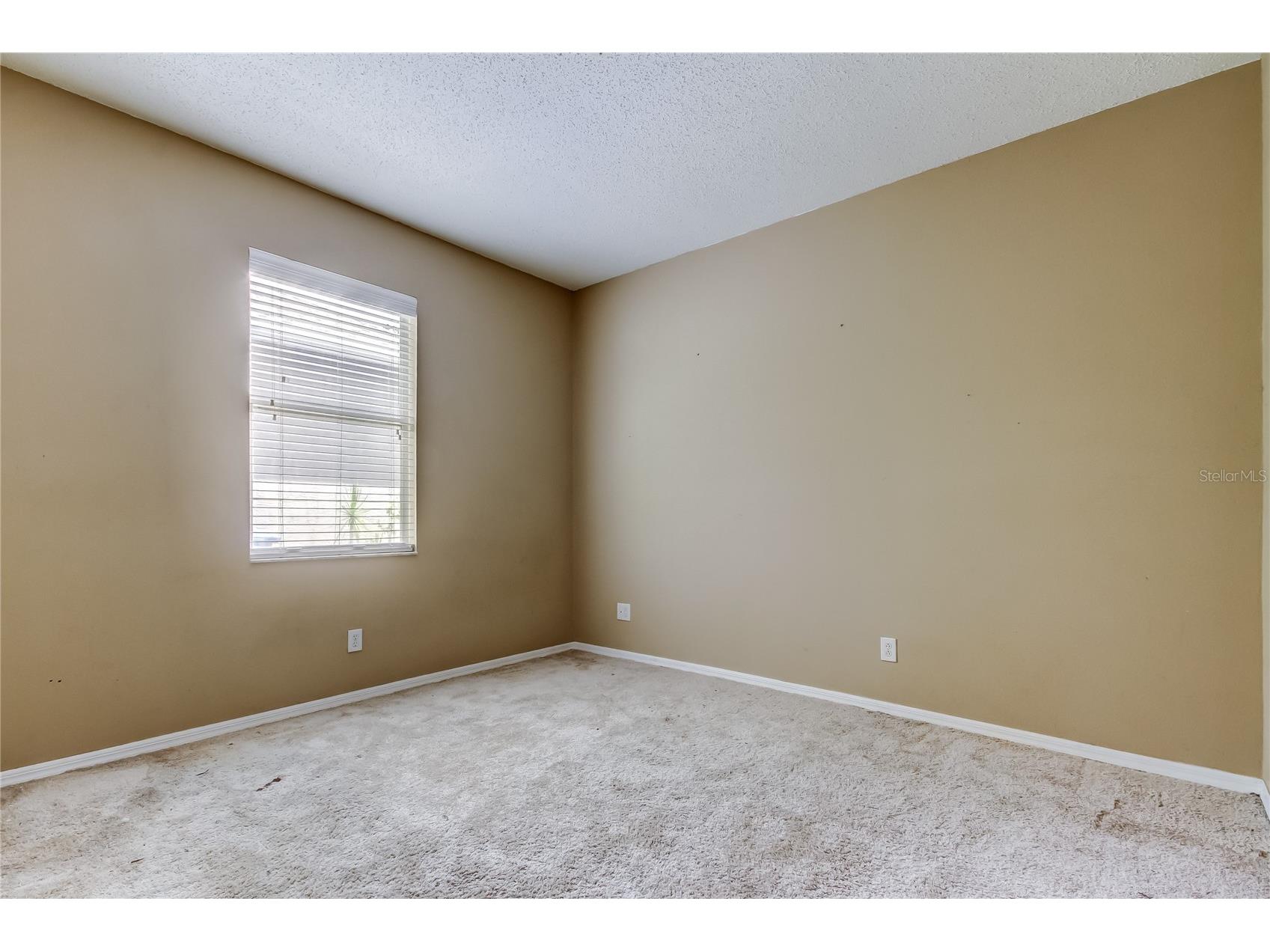 10708 Northridge Court Trinity FL 34655 TB8416262 image21