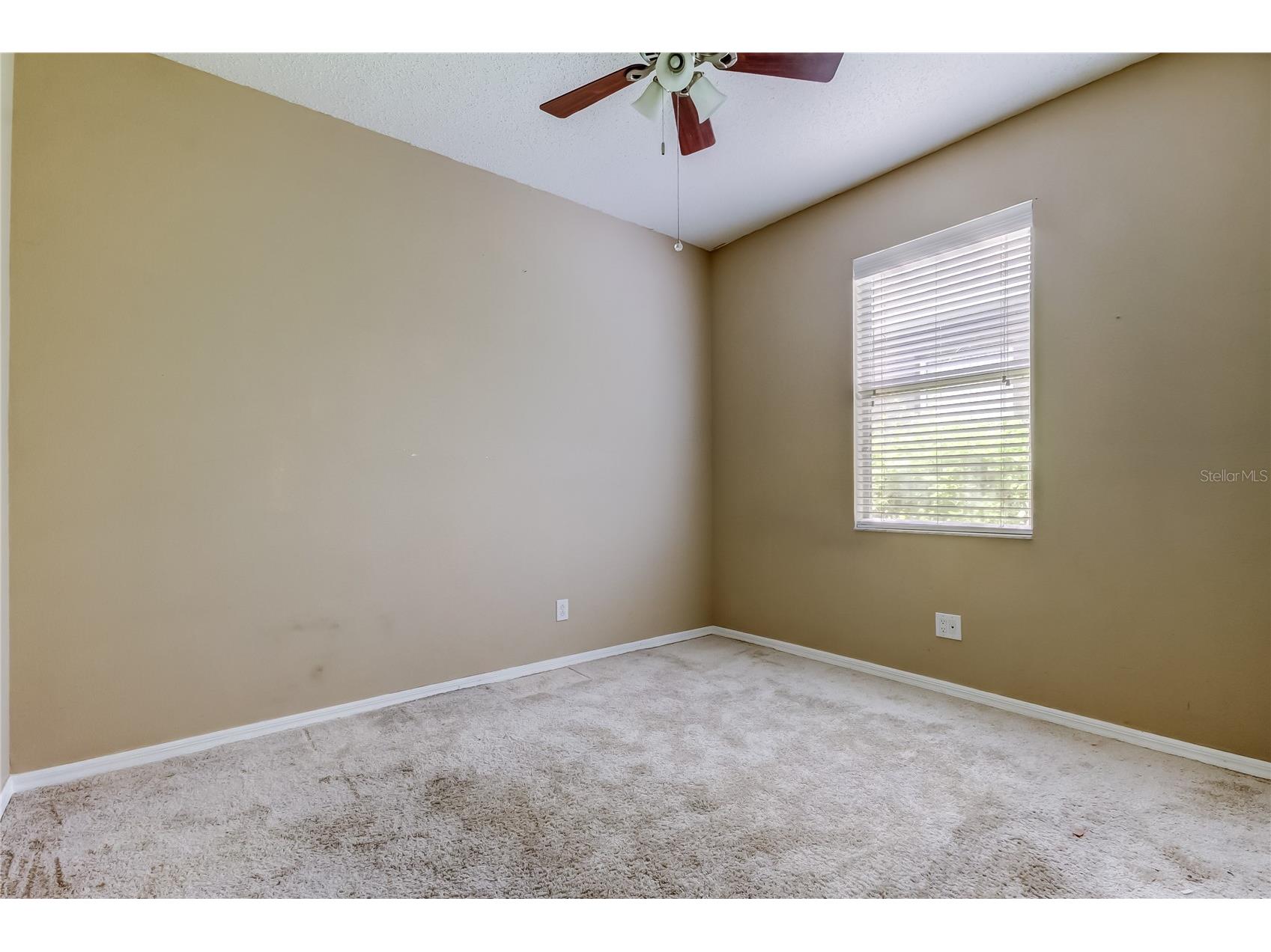 10708 Northridge Court Trinity FL 34655 TB8416262 image24