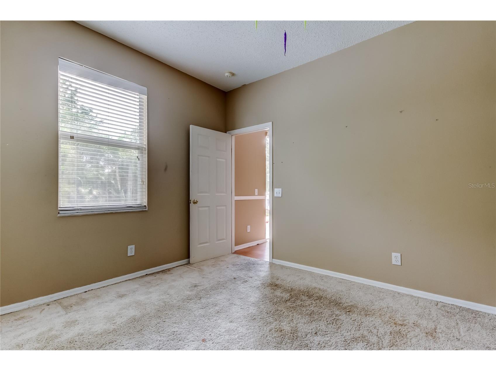 10708 Northridge Court Trinity FL 34655 TB8416262 image26