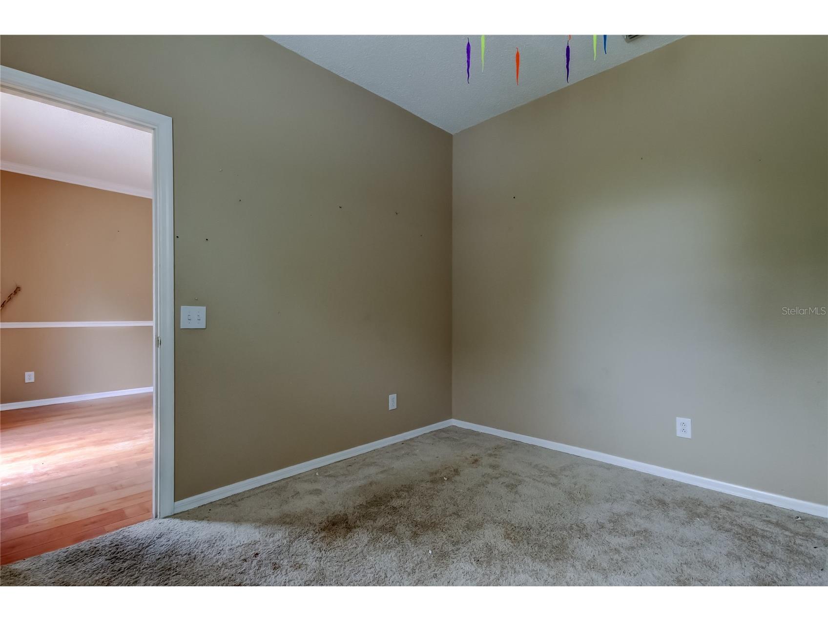 10708 Northridge Court Trinity FL 34655 TB8416262 image27