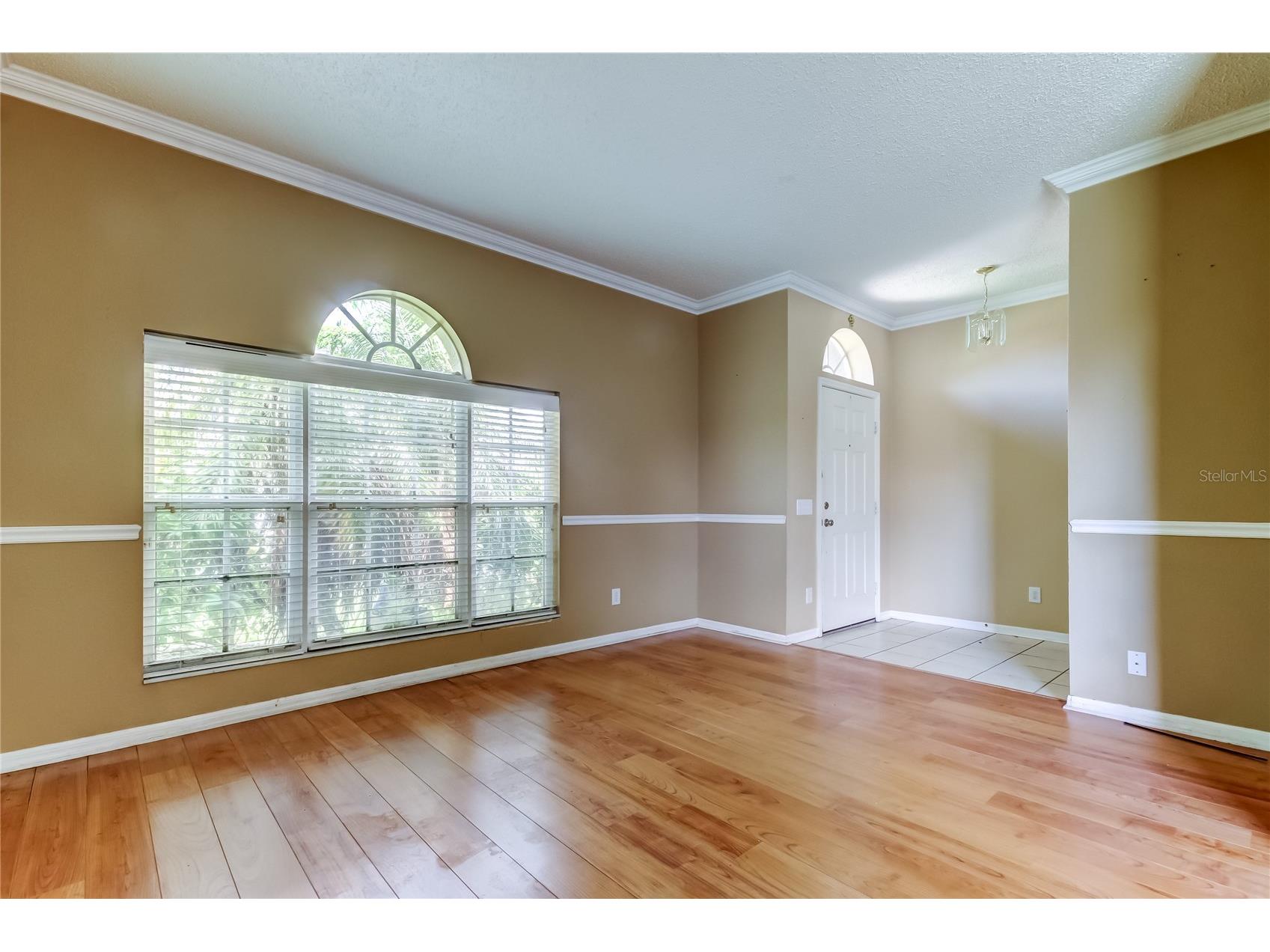 10708 Northridge Court Trinity FL 34655 TB8416262 image33