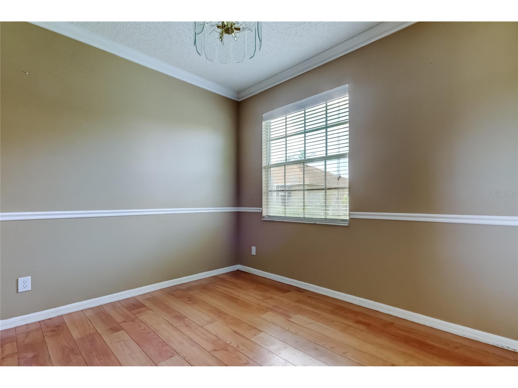 10708 Northridge Court Trinity FL 34655 TB8416262 image36