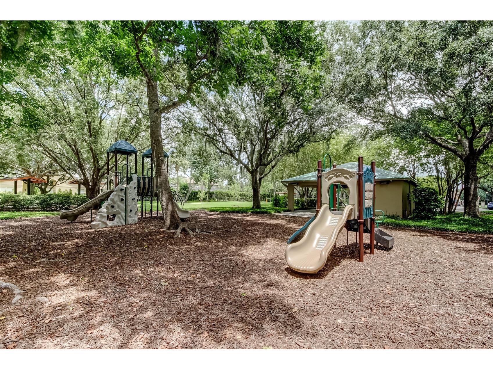 10708 Northridge Court Trinity FL 34655 TB8416262 image57