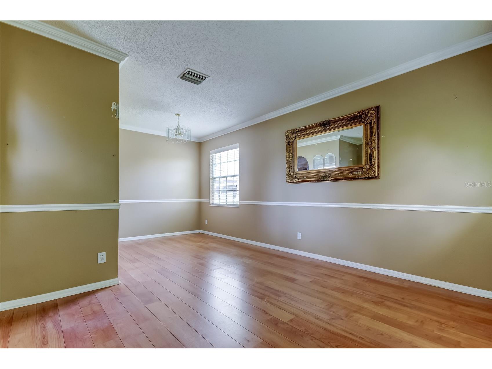 10708 Northridge Court Trinity FL 34655 TB8416262 image6