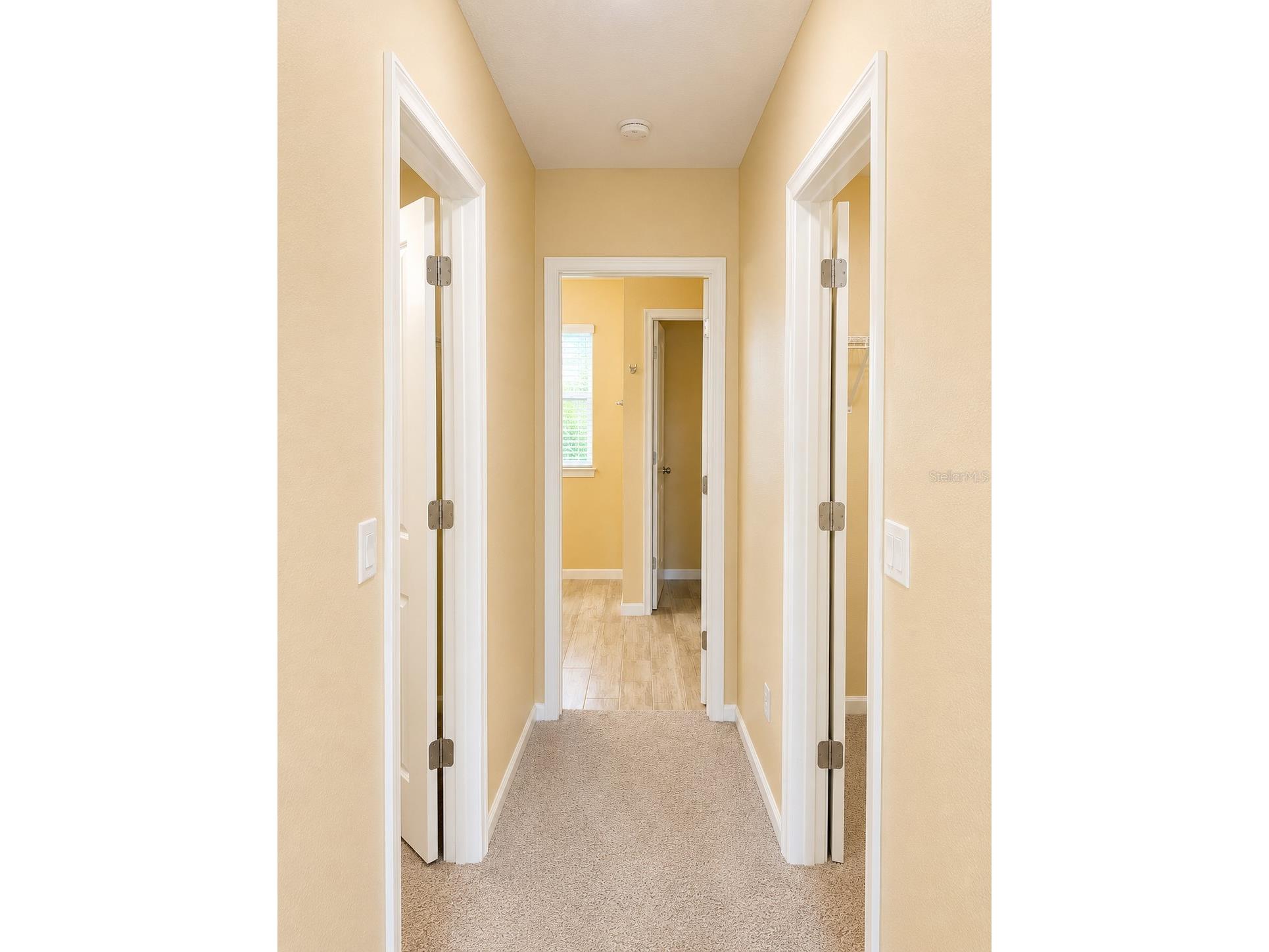 10708 Planer Picket Drive Riverview FL 33569 TB8513762 image28