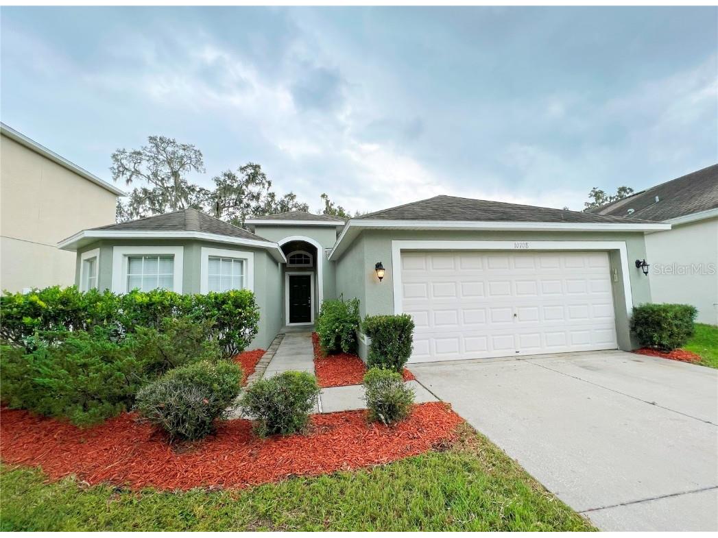 10708 Shady Preserve Drive Riverview FL 33579 T3479518 image1