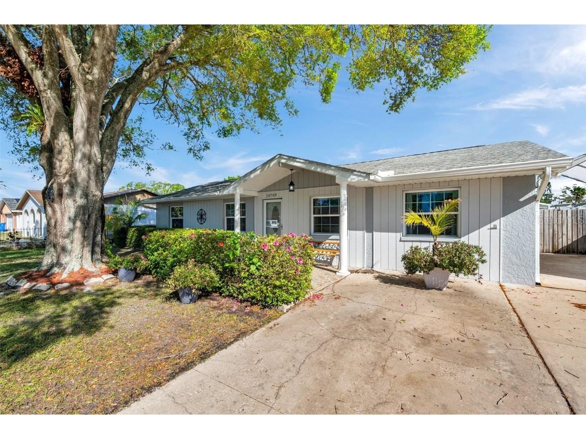 10709 Airview Drive Tampa FL 33625 TB8363036 image1