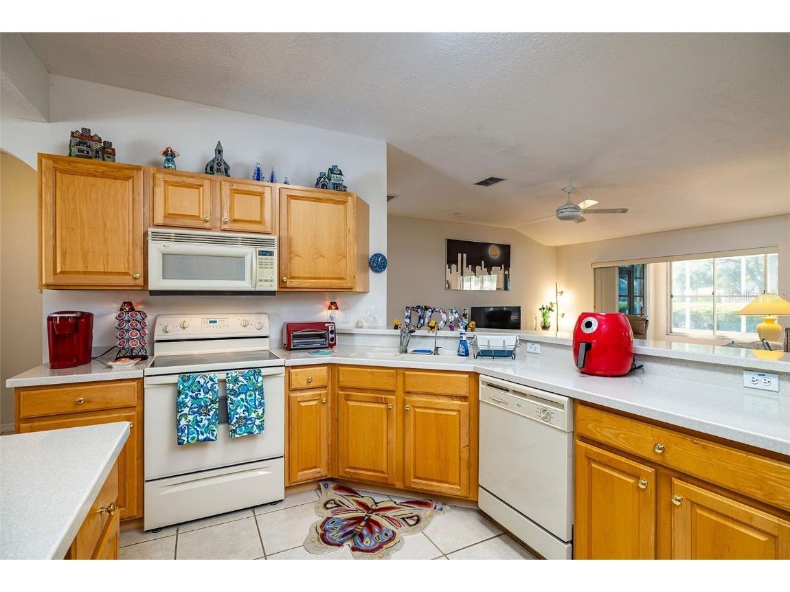 10709 Collar Dr San Antonio FL 33576 TB8432181 image10