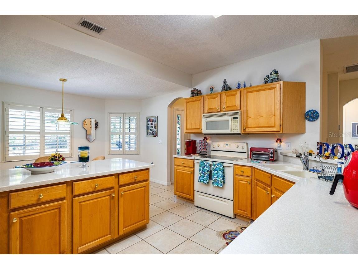 10709 Collar Dr San Antonio FL 33576 TB8432181 image11