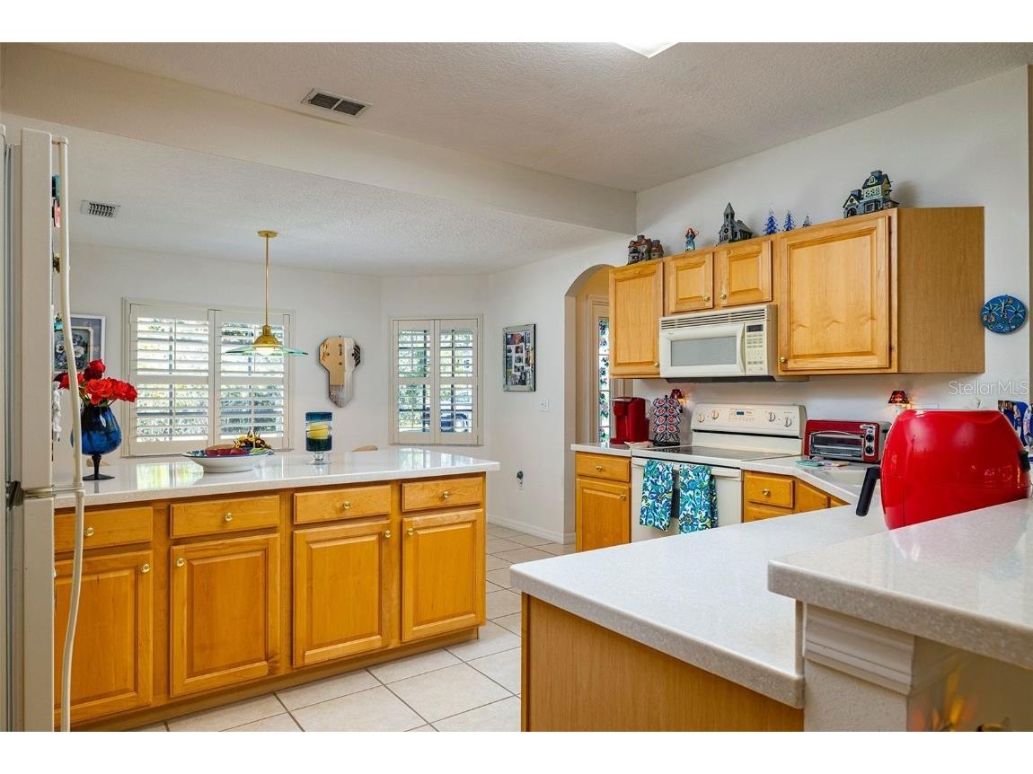 10709 Collar Dr San Antonio FL 33576 TB8432181 image12