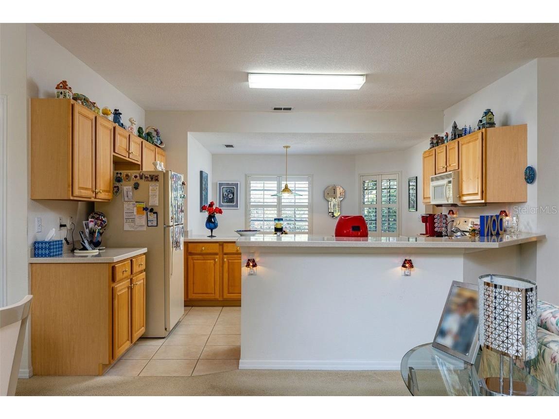 10709 Collar Dr San Antonio FL 33576 TB8432181 image13