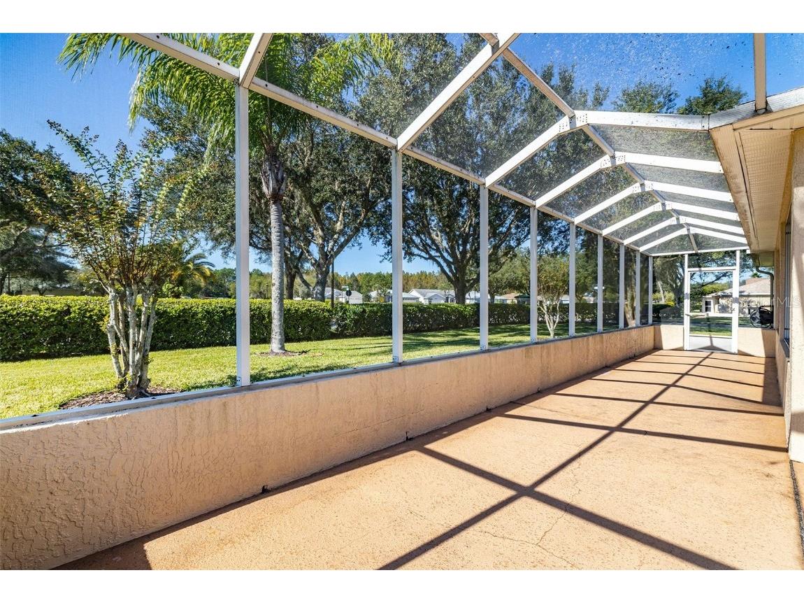 10709 Collar Dr San Antonio FL 33576 TB8432181 image25