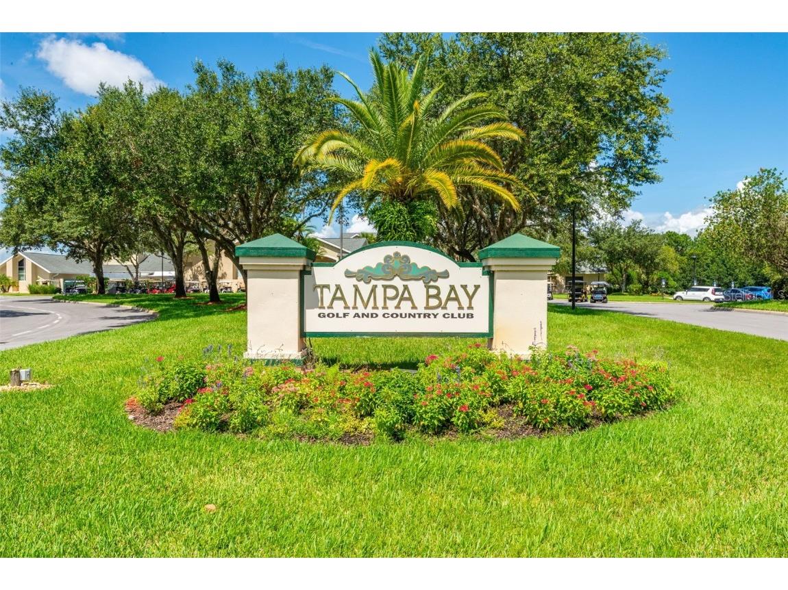 10709 Collar Dr San Antonio FL 33576 TB8432181 image31