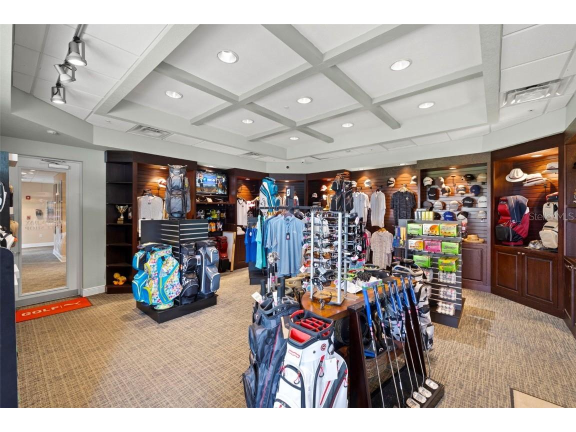 10709 Collar Dr San Antonio FL 33576 TB8432181 image35