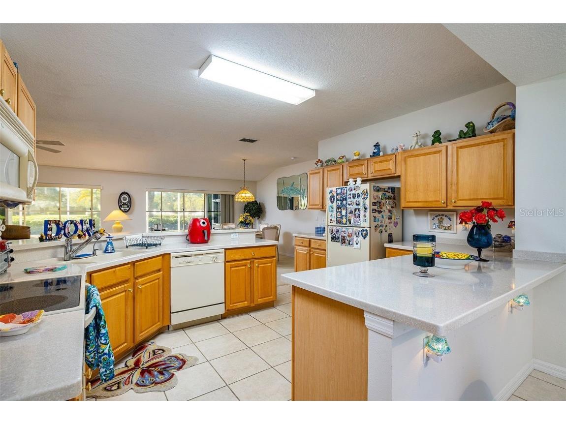 10709 Collar Dr San Antonio FL 33576 TB8432181 image9