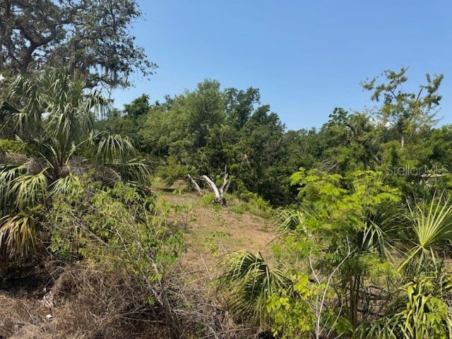 10709 E Bay Road Gibsonton FL 33534 TB8384557 image3