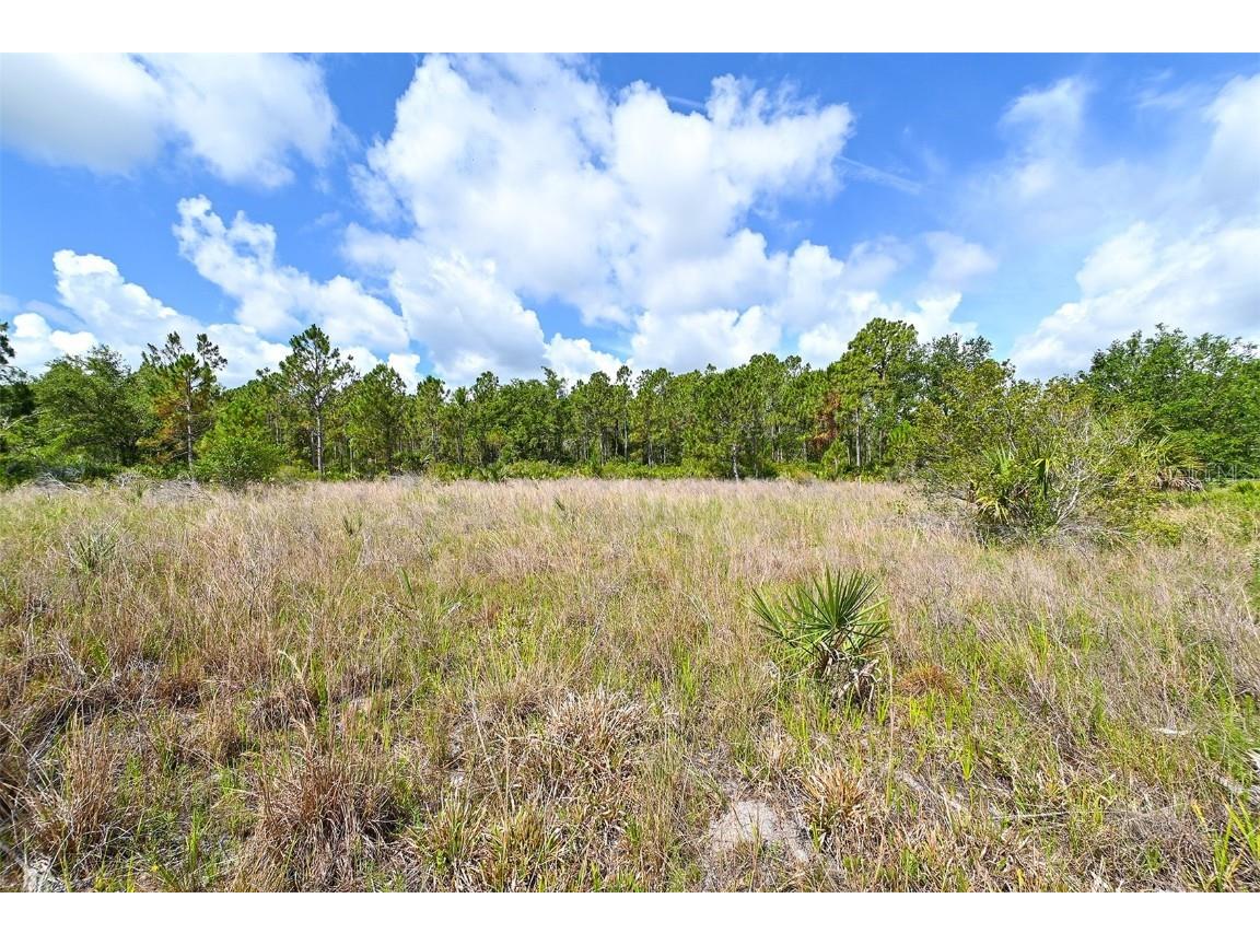 10709 Leafwing Drive Sarasota FL 34241 - LAKE WOOD AND GAZEBO PARK A4568186 image15