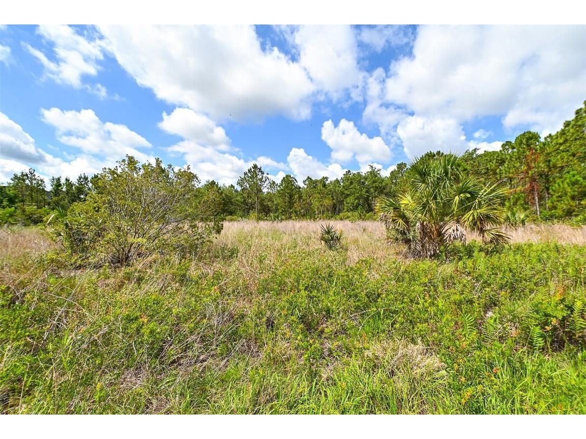 10709 Leafwing Drive Sarasota FL 34241 - LAKE WOOD AND GAZEBO PARK A4568186 image17