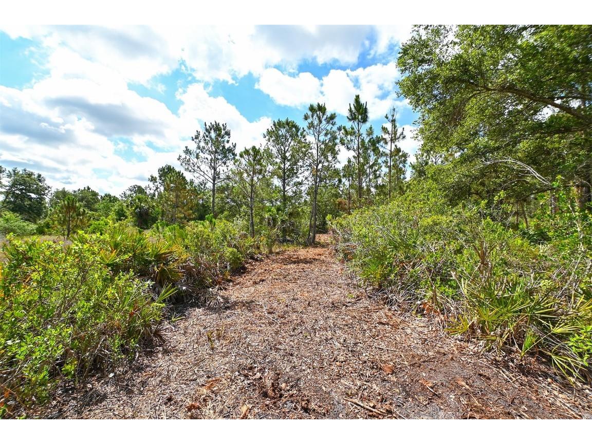 10709 Leafwing Drive Sarasota FL 34241 - LAKE WOOD AND GAZEBO PARK A4568186 image19