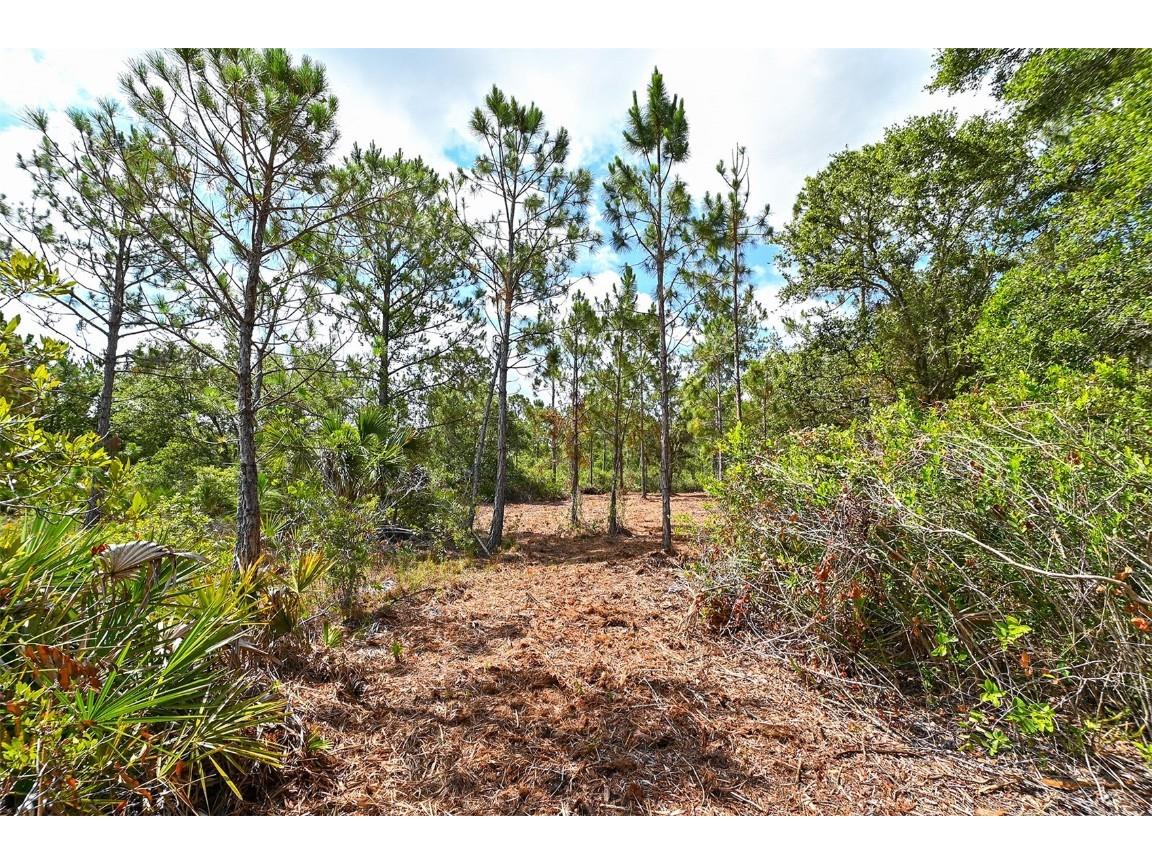 10709 Leafwing Drive Sarasota FL 34241 - LAKE WOOD AND GAZEBO PARK A4568186 image20