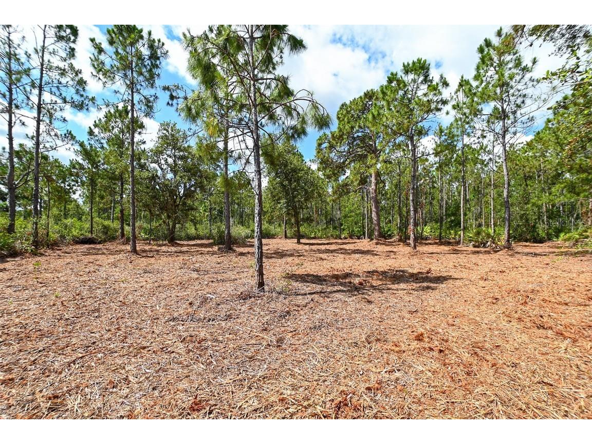 10709 Leafwing Drive Sarasota FL 34241 - LAKE WOOD AND GAZEBO PARK A4568186 image21