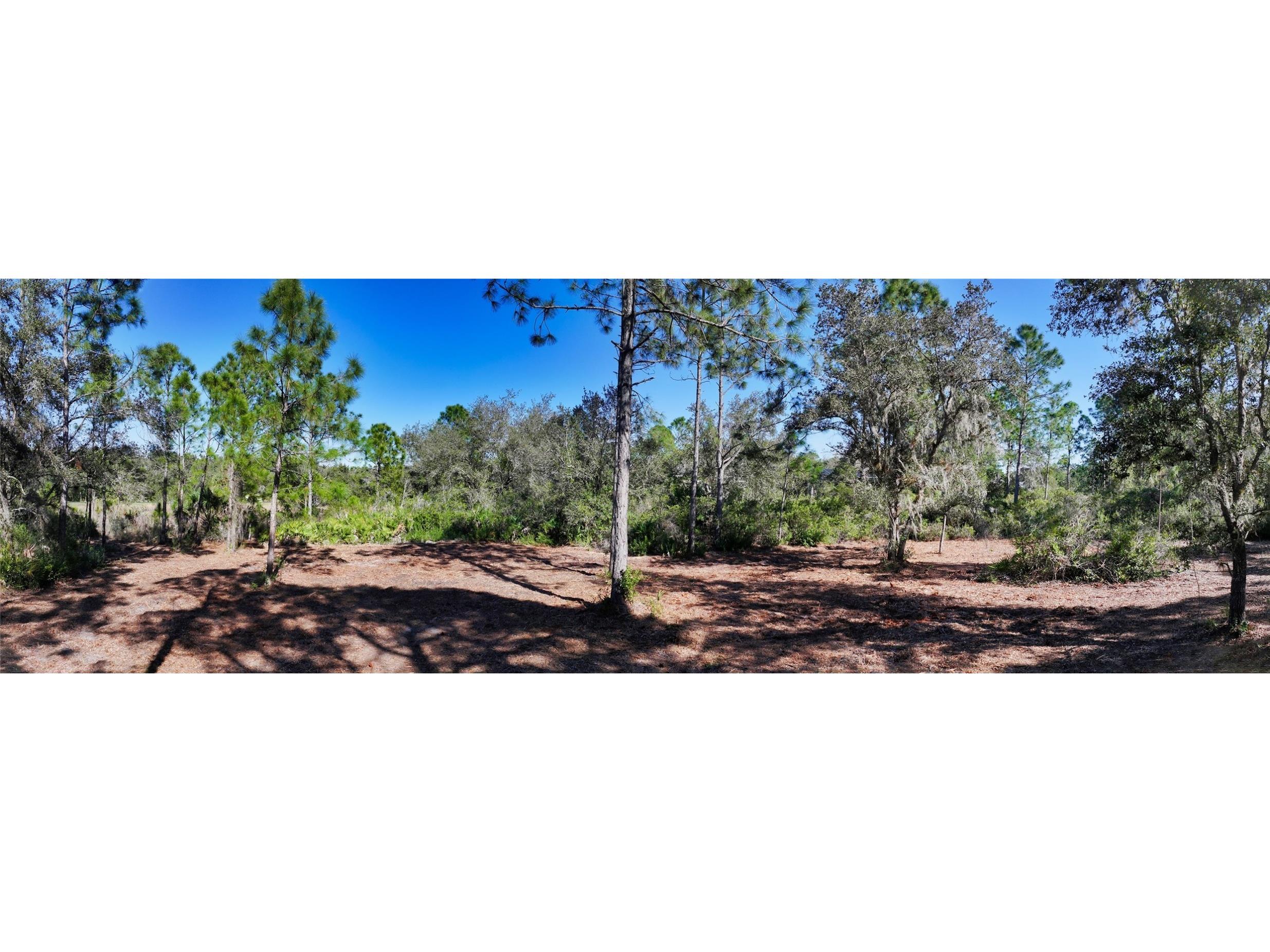 10709 Leafwing Drive Sarasota FL 34241 - LAKE WOOD AND GAZEBO PARK A4568186 image24