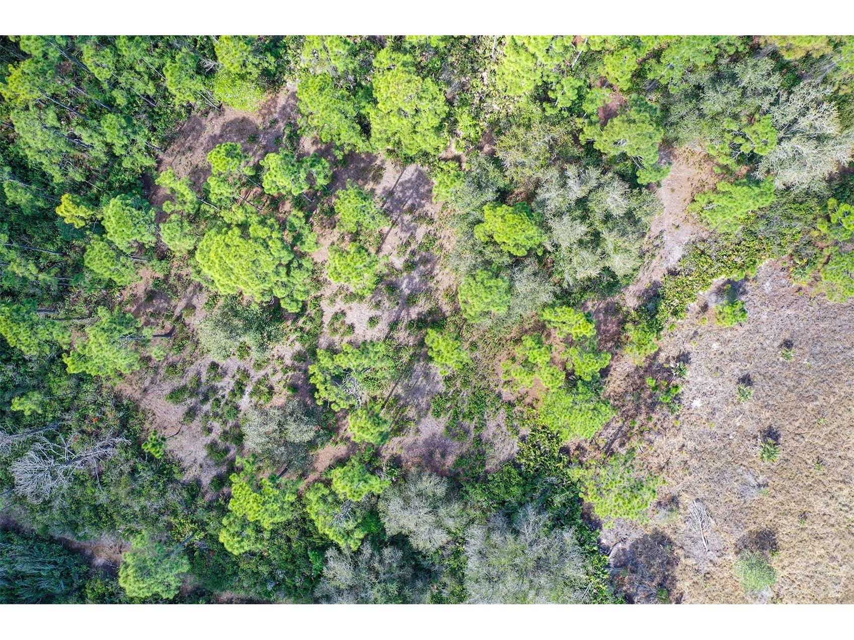 10709 Leafwing Drive Sarasota FL 34241 - LAKE WOOD AND GAZEBO PARK A4568186 image11