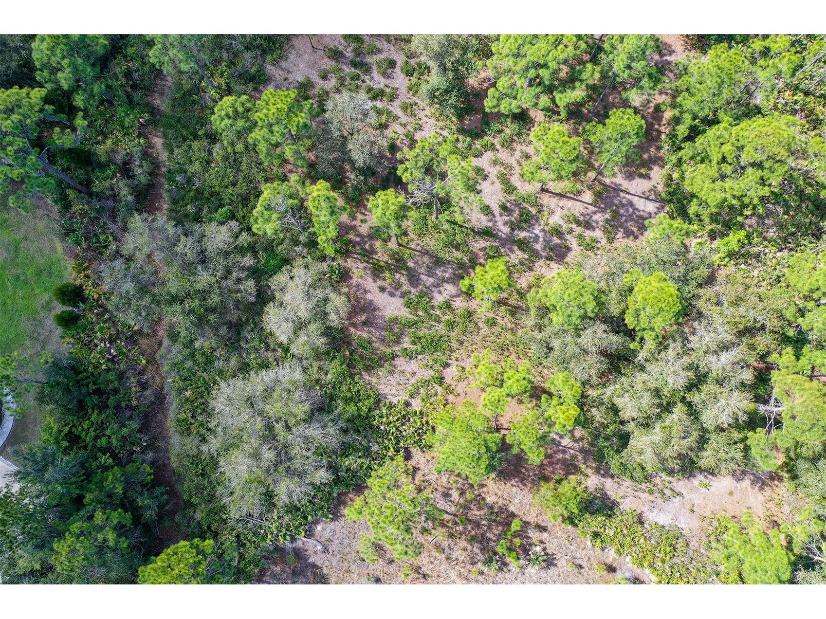 10709 Leafwing Drive Sarasota FL 34241 - LAKE WOOD AND GAZEBO PARK A4568186 image22