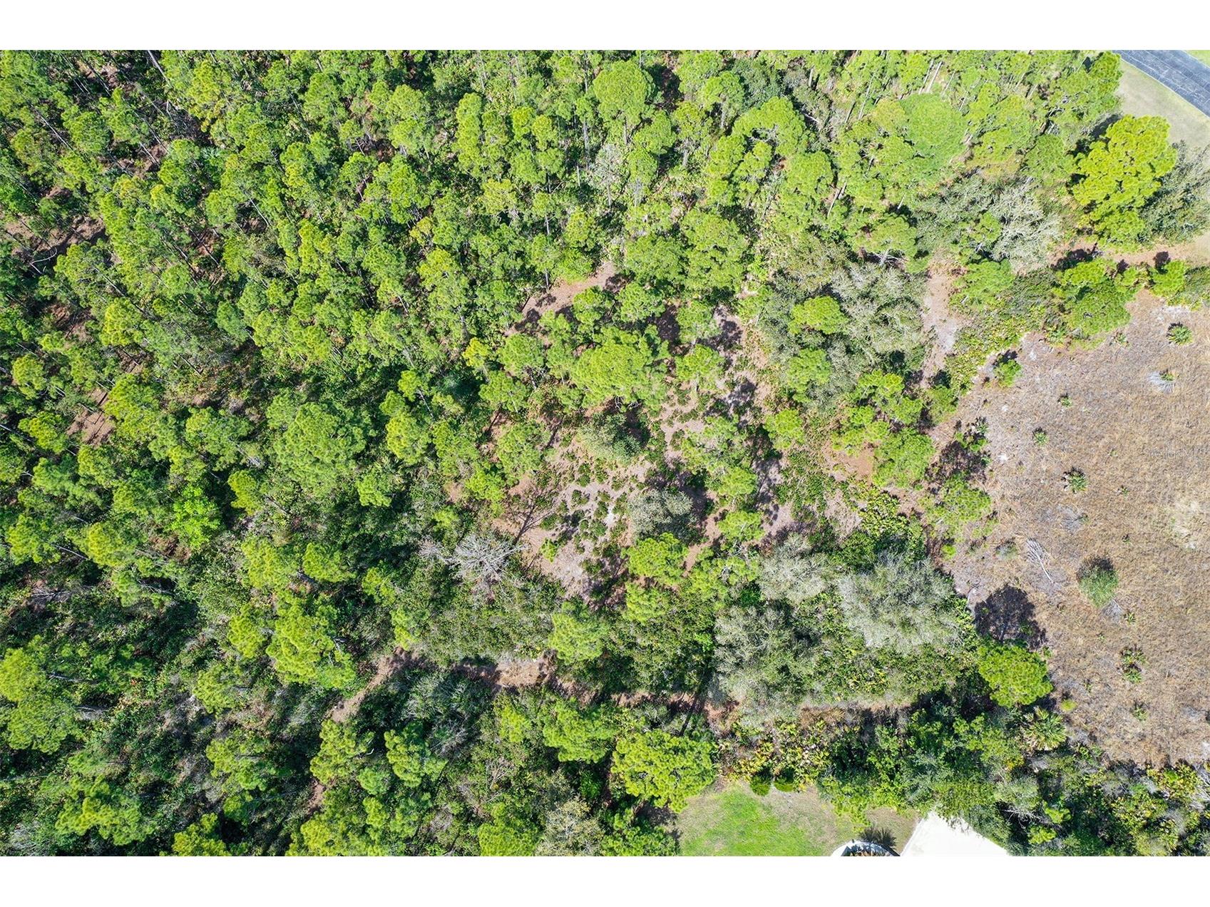 10709 Leafwing Drive Sarasota FL 34241 - LAKE WOOD AND GAZEBO PARK A4568186 image23