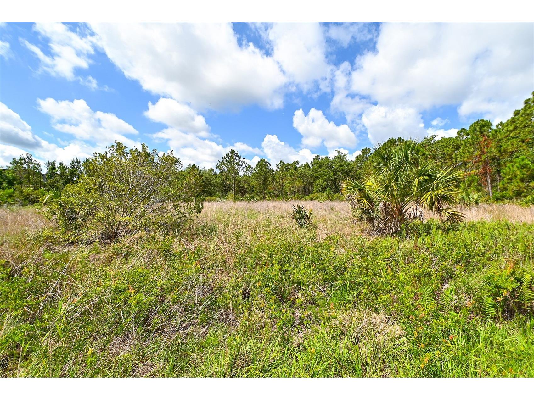 10709 Leafwing Drive Sarasota FL 34241 - LAKE WOOD AND GAZEBO PARK A4568186 image28