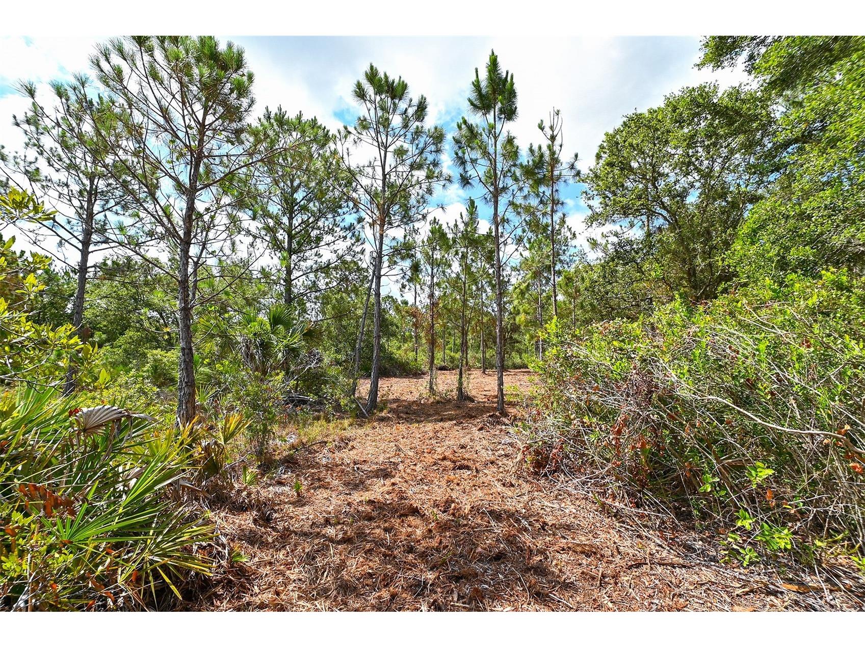 10709 Leafwing Drive Sarasota FL 34241 - LAKE WOOD AND GAZEBO PARK A4568186 image31