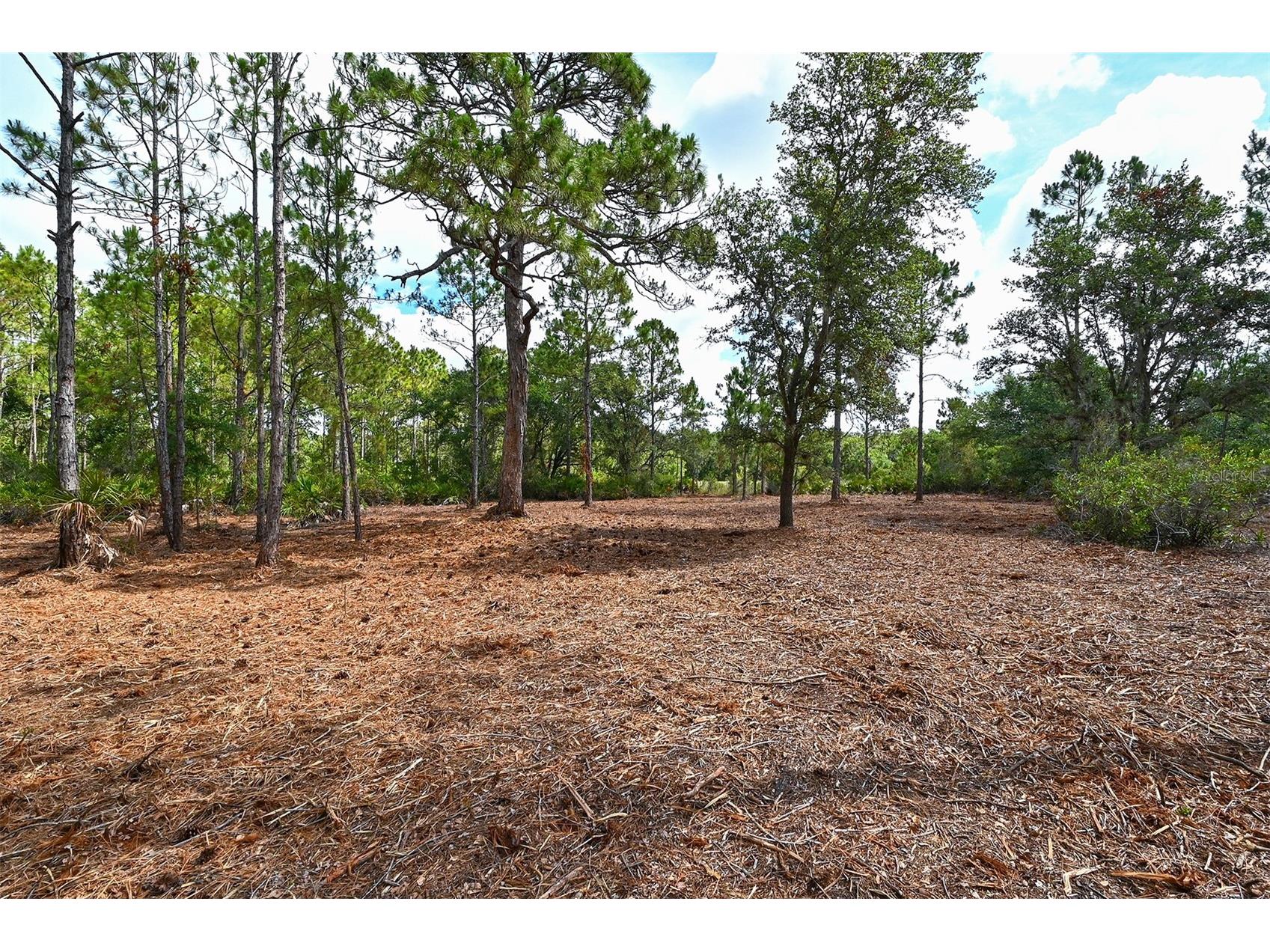 10709 Leafwing Drive Sarasota FL 34241 - LAKE WOOD AND GAZEBO PARK A4568186 image33