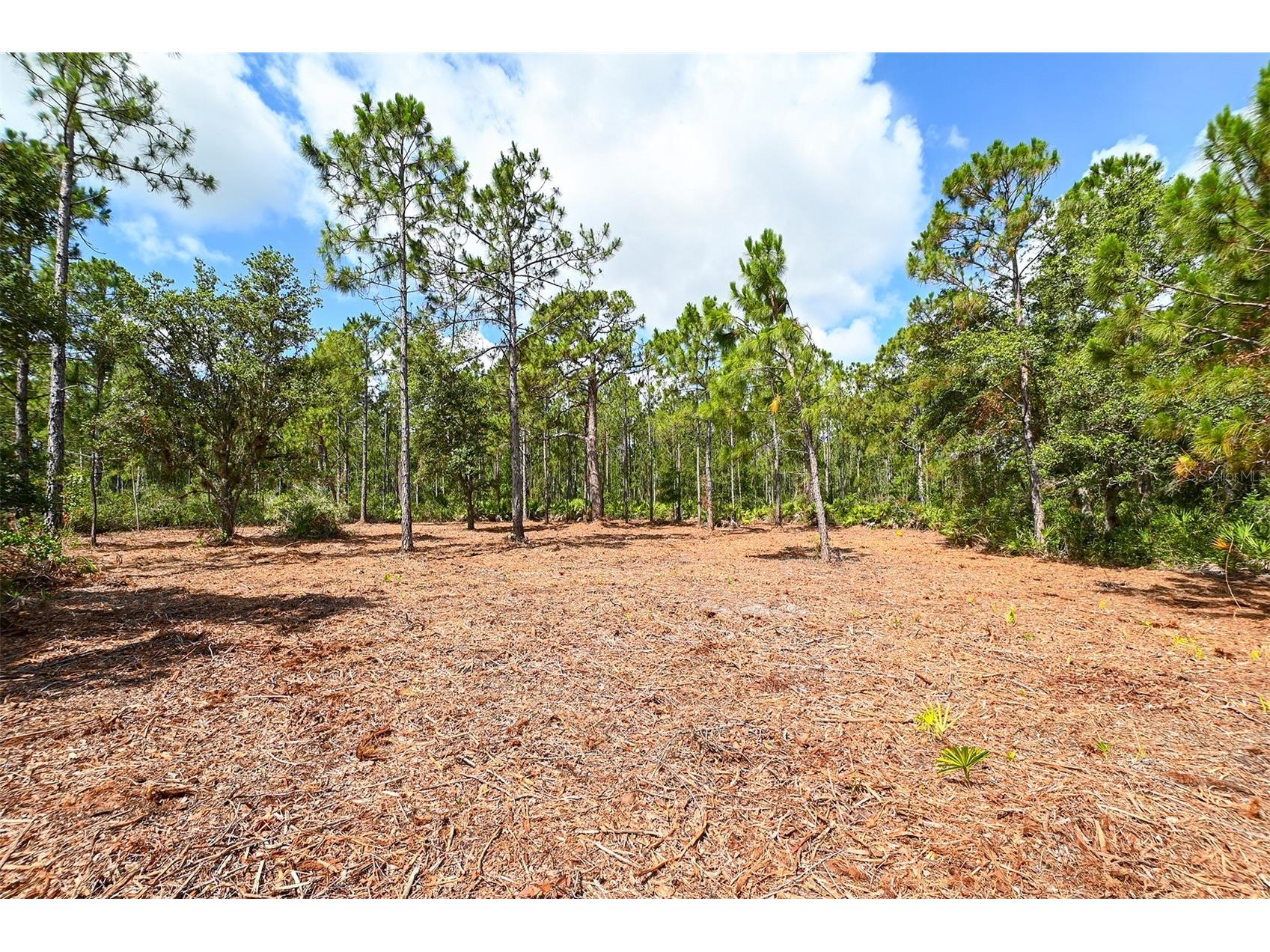 10709 Leafwing Drive Sarasota FL 34241 - LAKE WOOD AND GAZEBO PARK A4568186 image34