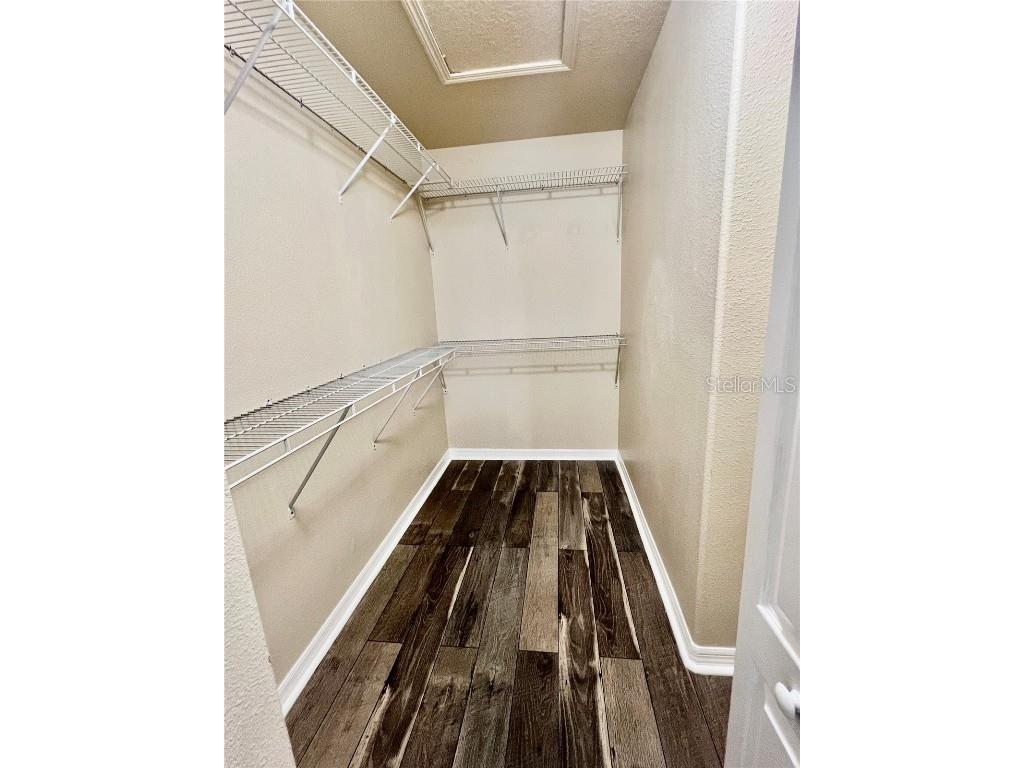 10709 Savannah Landing Circle Orlando FL 32832 O6349176 image25