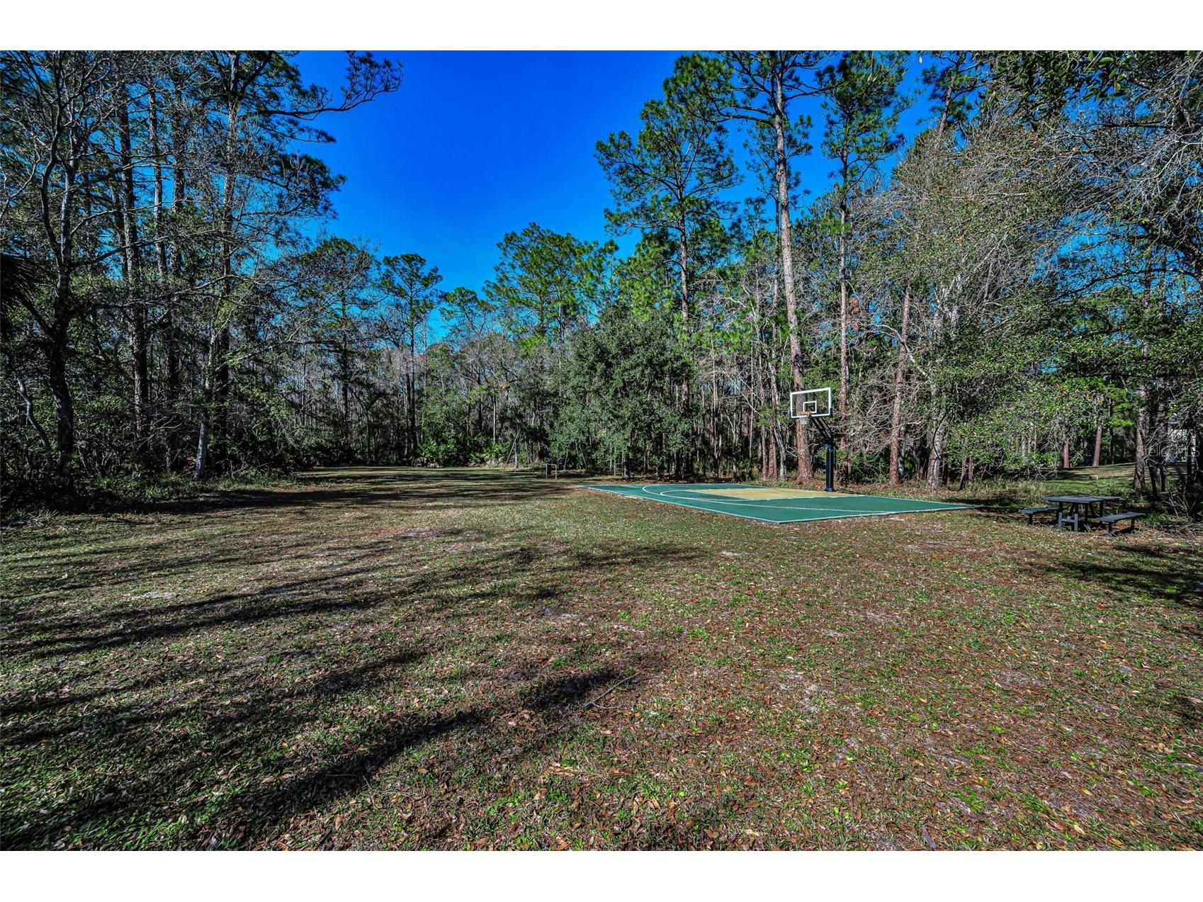 10709 Watula Court New Port Richey FL 34655 W7882649 image87