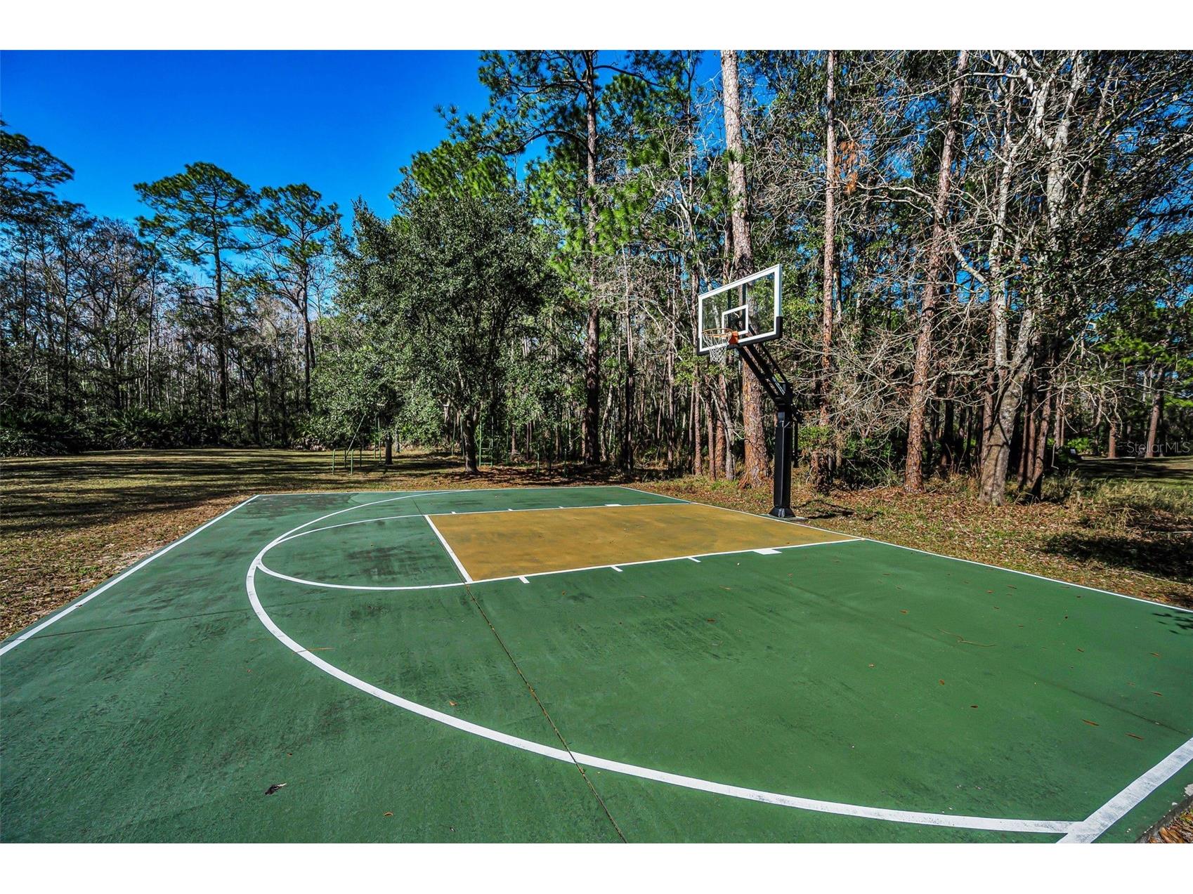 10709 Watula Court New Port Richey FL 34655 W7882649 image88