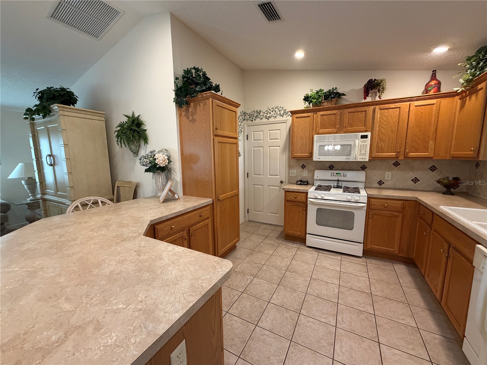 1071 Blythe Way The Villages FL 32162 G5111813 image10