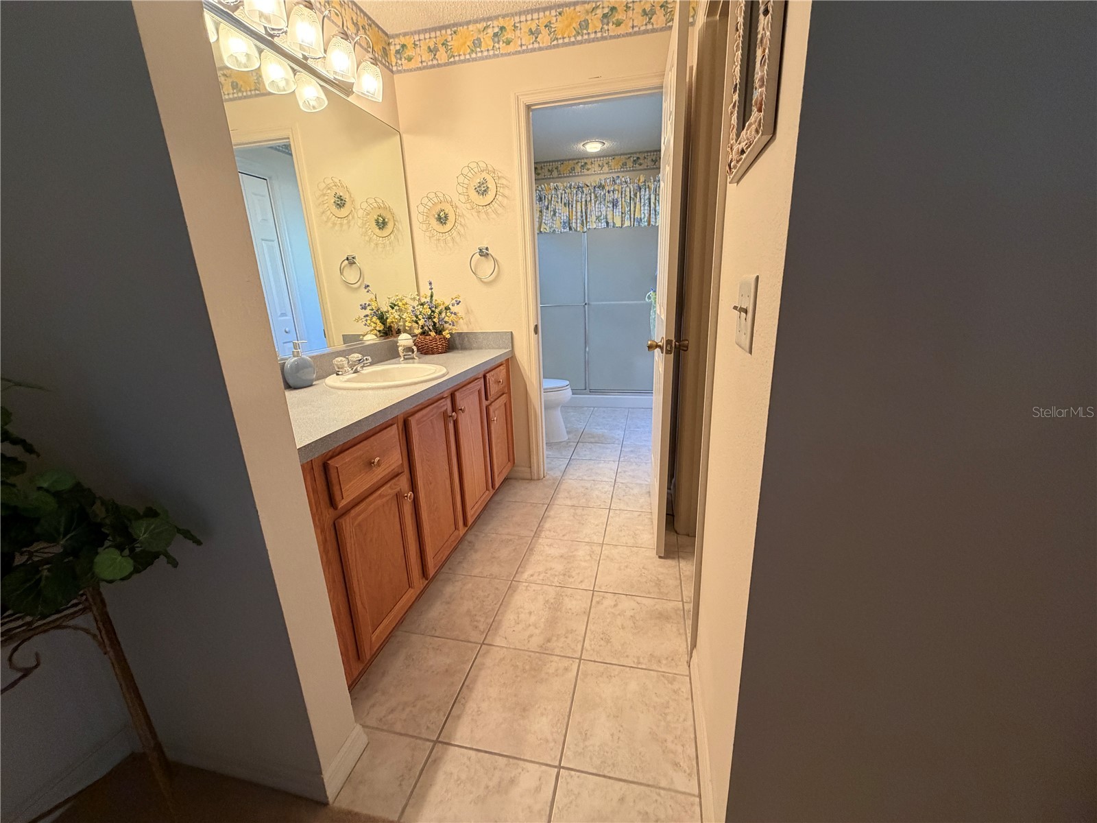 1071 Blythe Way The Villages FL 32162 G5111813 image17