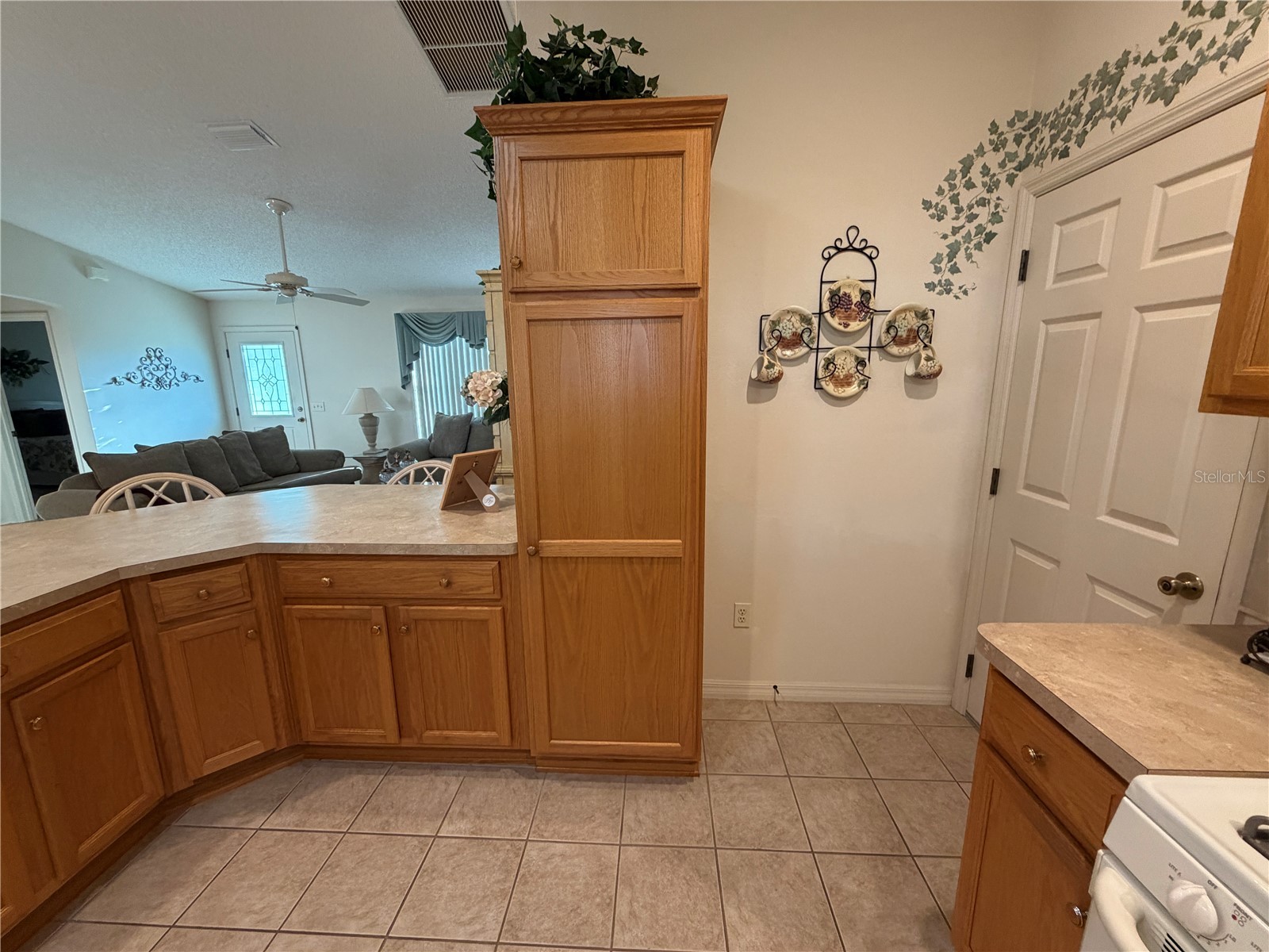 1071 Blythe Way The Villages FL 32162 G5111813 image9