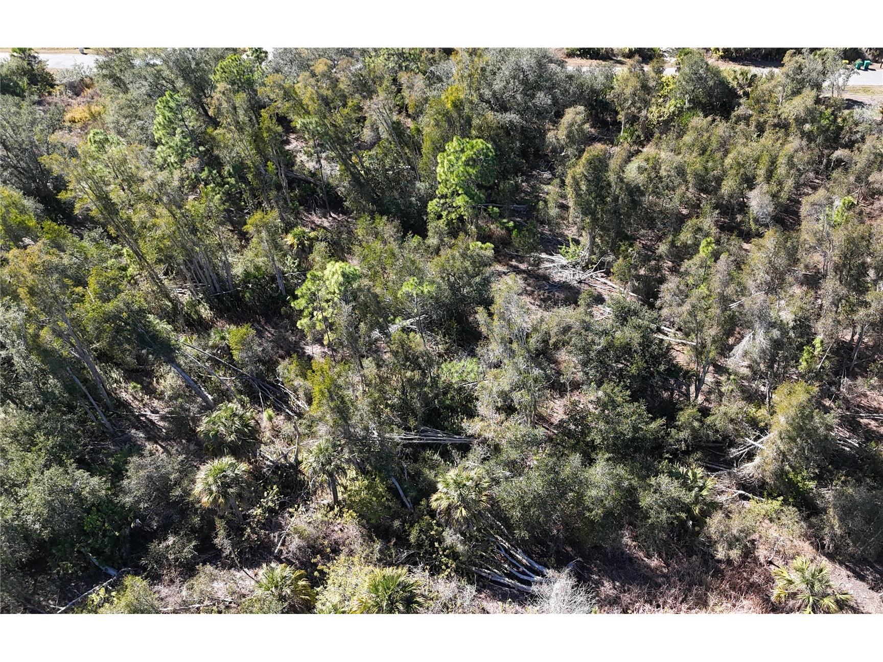 1071 Forrestal Street Port Charlotte FL 33953 A4680313 image3