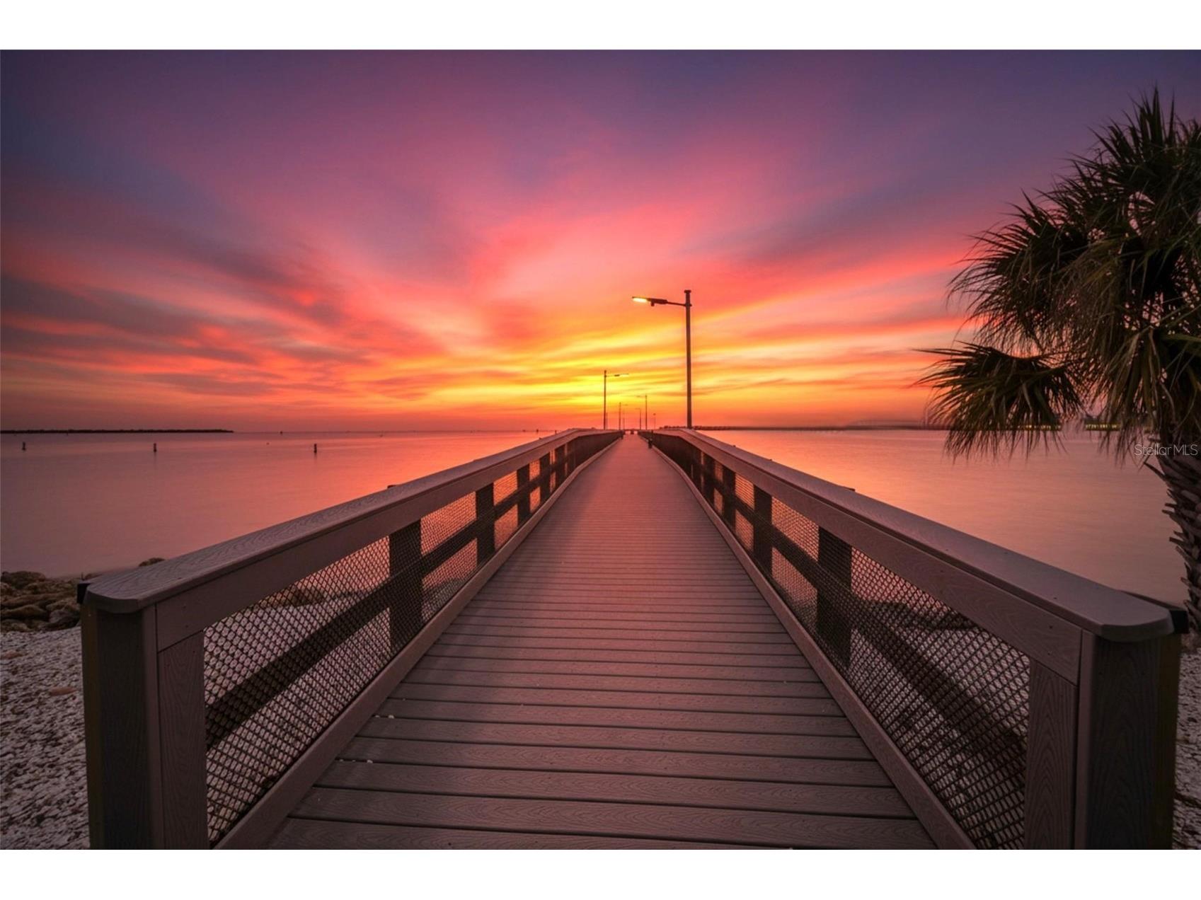 1071 Seagrape Drive Ruskin FL 33570 TB8493663 image100