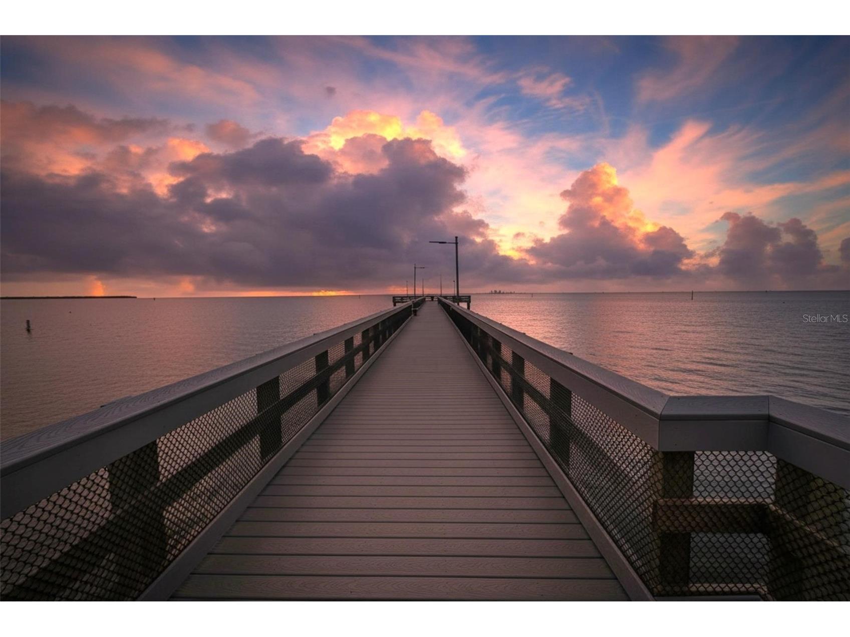 1071 Seagrape Drive Ruskin FL 33570 TB8493663 image98