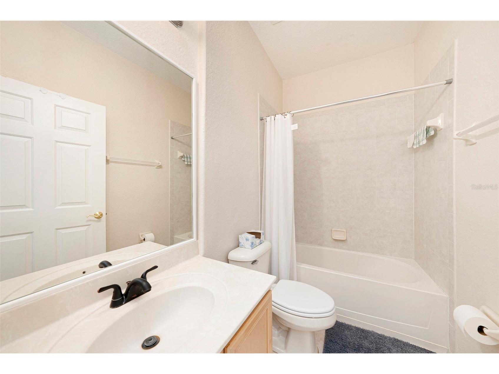 10711 Pearl Berry Loop Land O Lakes FL 34638 TB8440515 image22