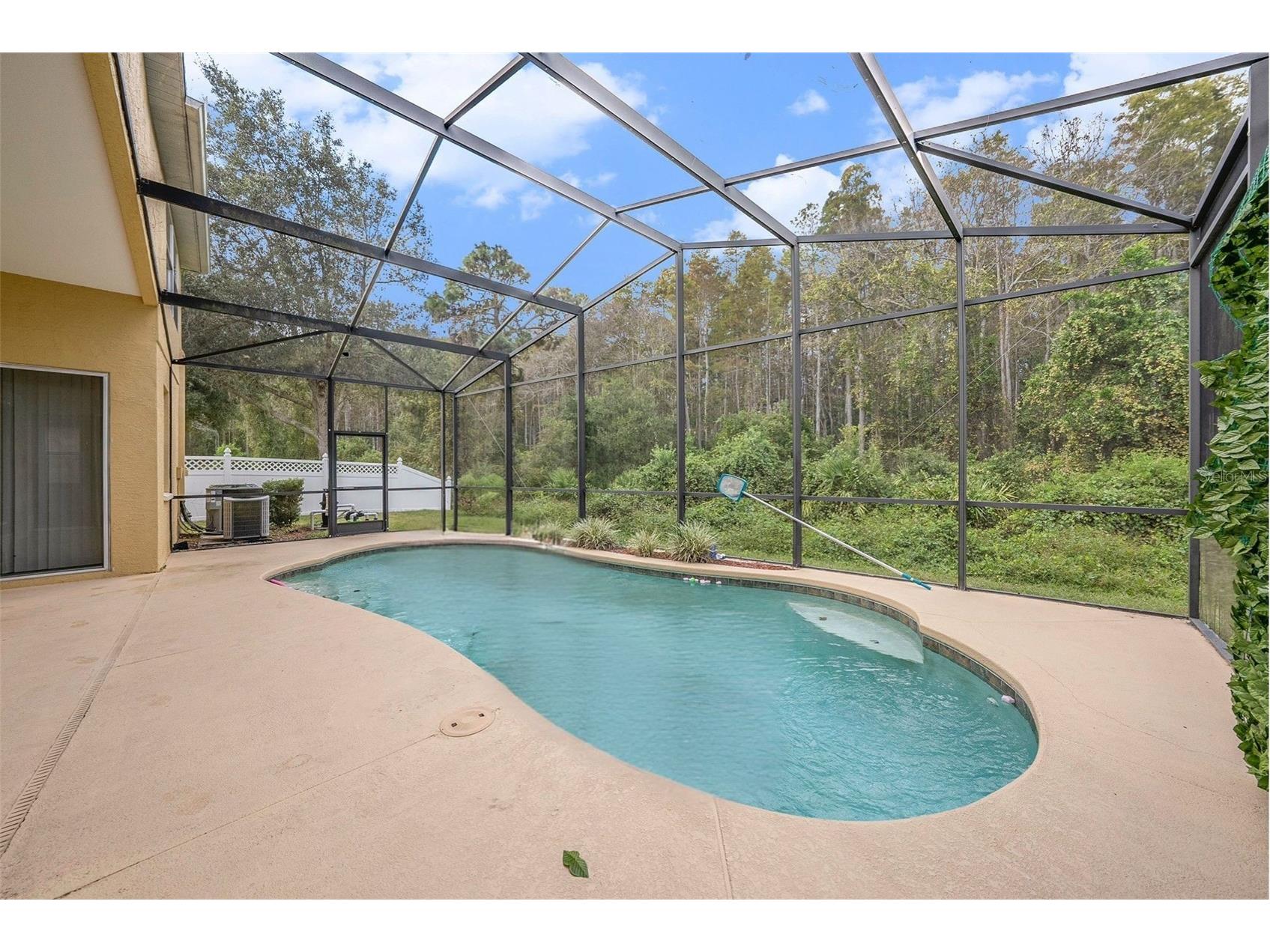 10711 Pearl Berry Loop Land O Lakes FL 34638 TB8440515 image26