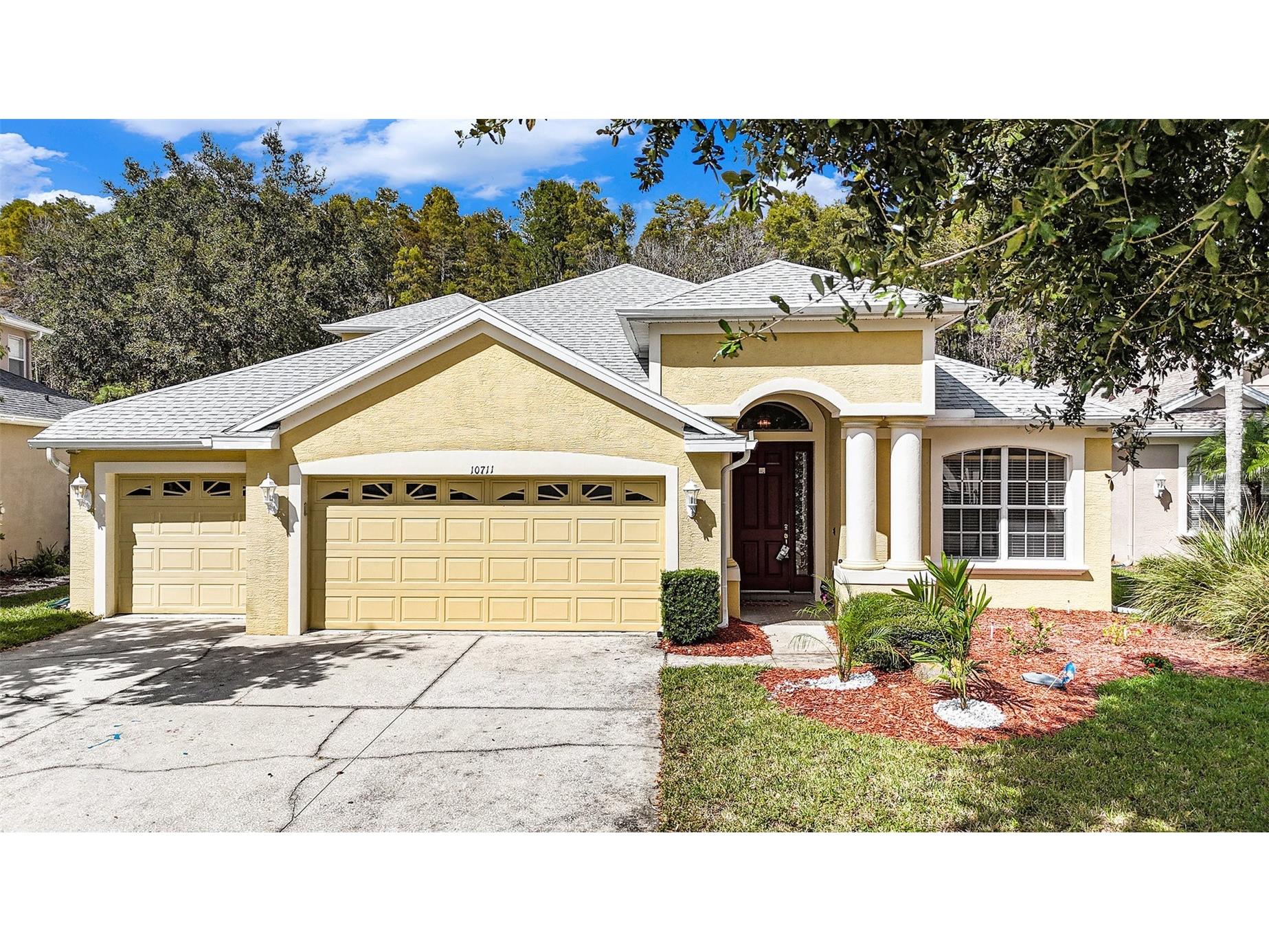 10711 Pearl Berry Loop Land O Lakes FL 34638 TB8440515 image28