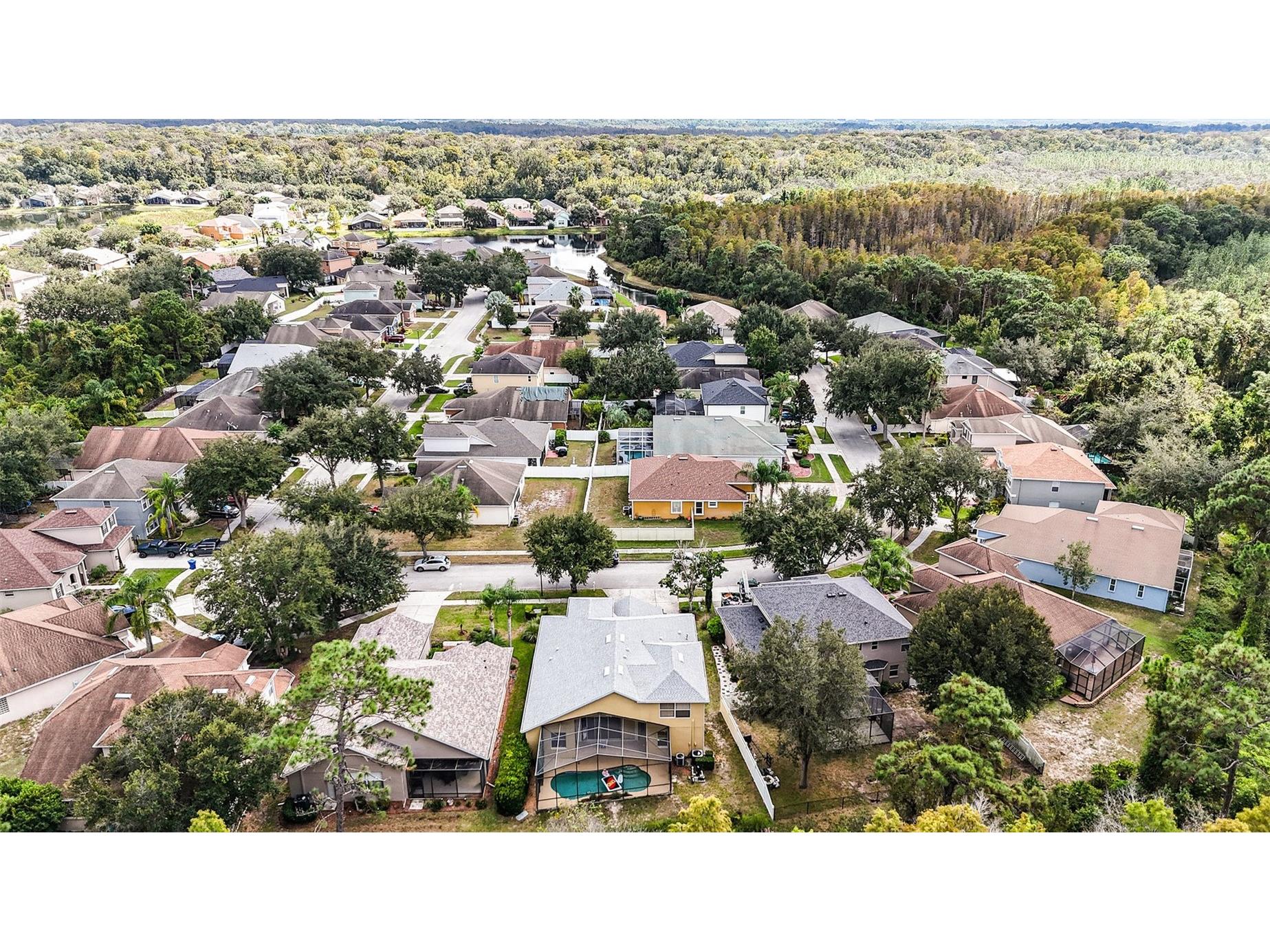 10711 Pearl Berry Loop Land O Lakes FL 34638 TB8440515 image30