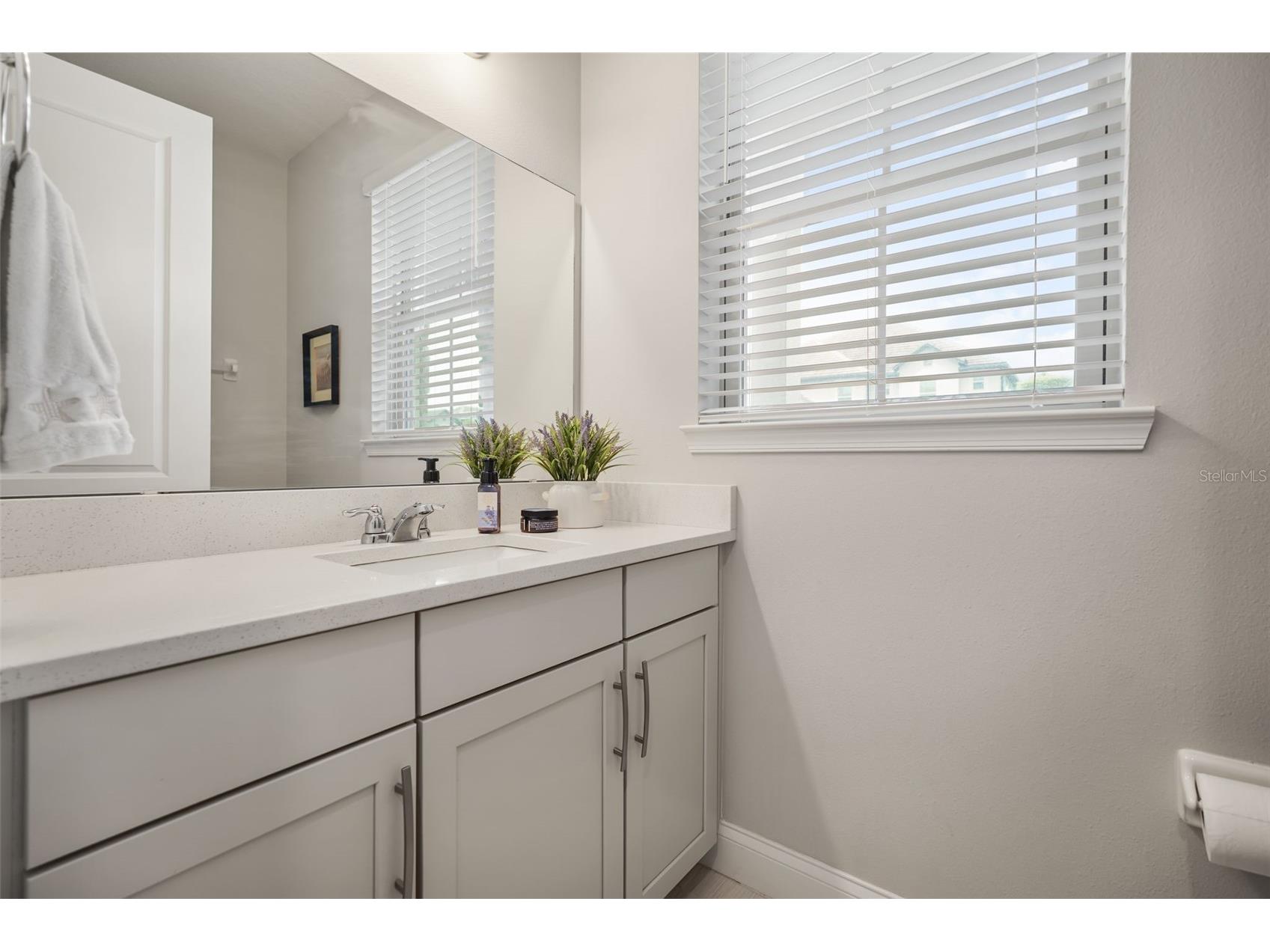 10713 Belle Maisons Drive Orlando FL 32832 O6415409 image40