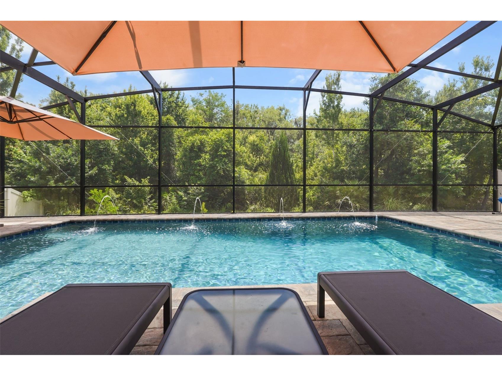 10713 Belle Maisons Drive Orlando FL 32832 O6415409 image52