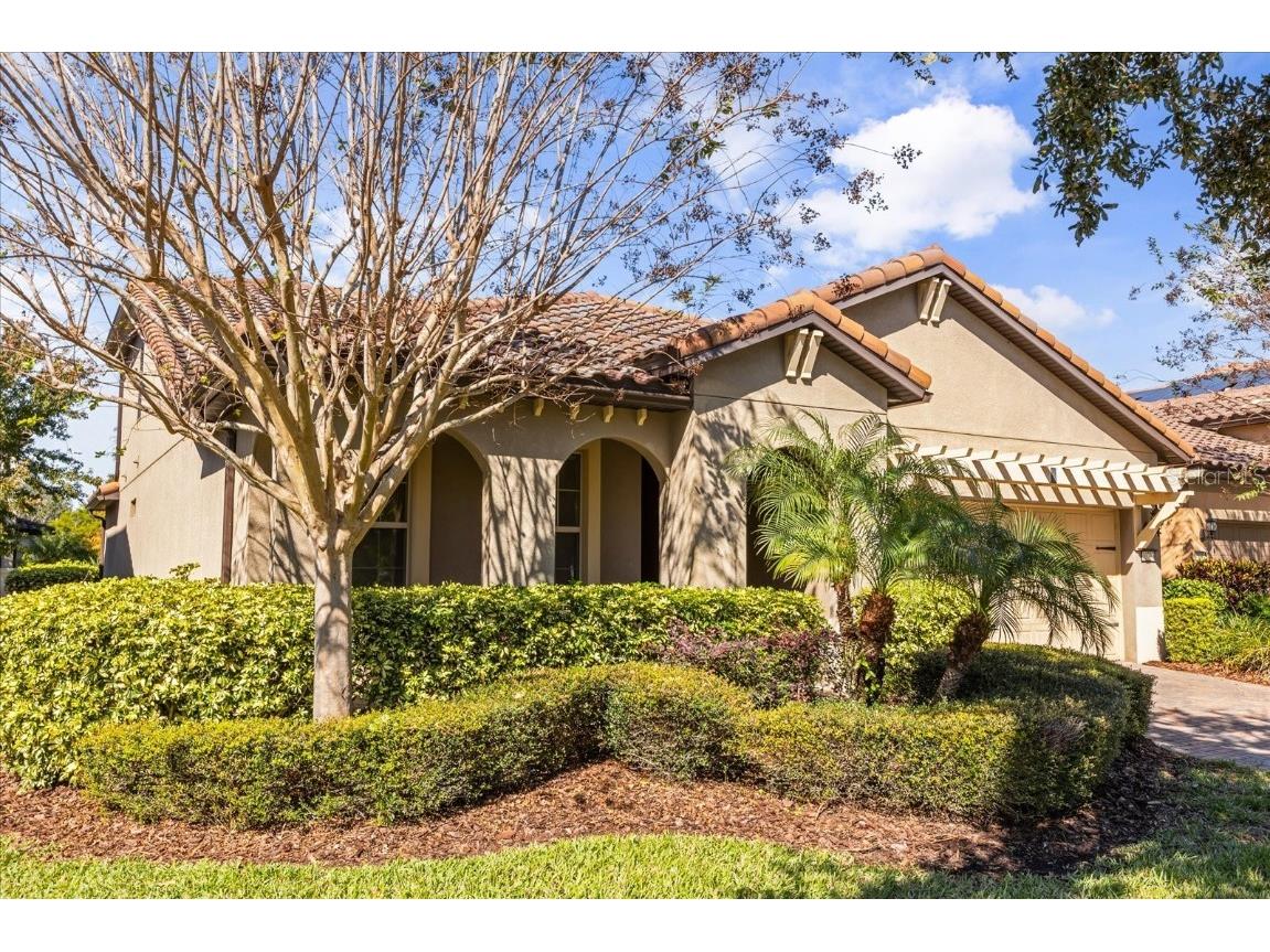 10713 Berry Creek Road Orlando FL 32836 O6361129 image2